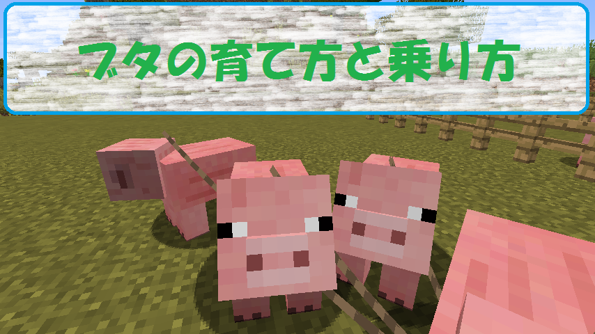 マイクラ カメ の飼育と繁殖方法を紹介 カメの甲をプレゼントされました ビビアンのマイクラ攻略ブログ