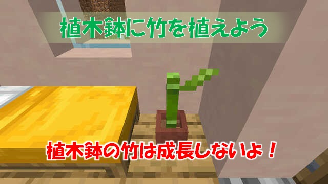 密接に 要旨 彼女の マイクラ 植木鉢 Kleinefreuden Jp